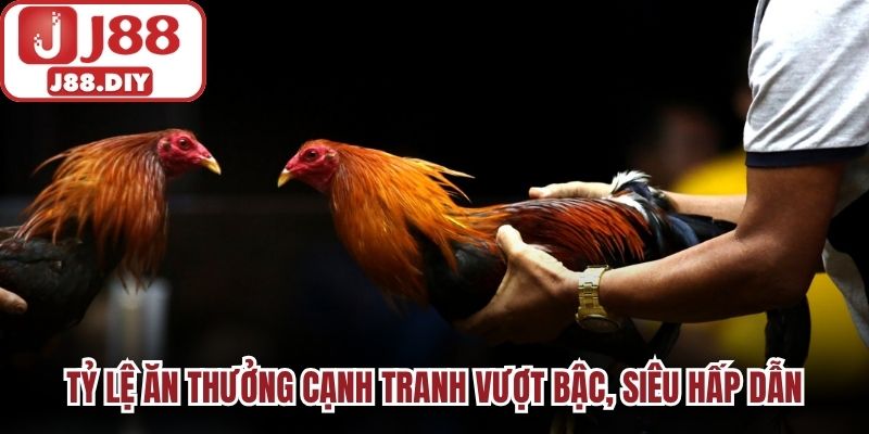 Tỷ lệ ăn thưởng cạnh tranh vượt bậc, siêu hấp dẫn