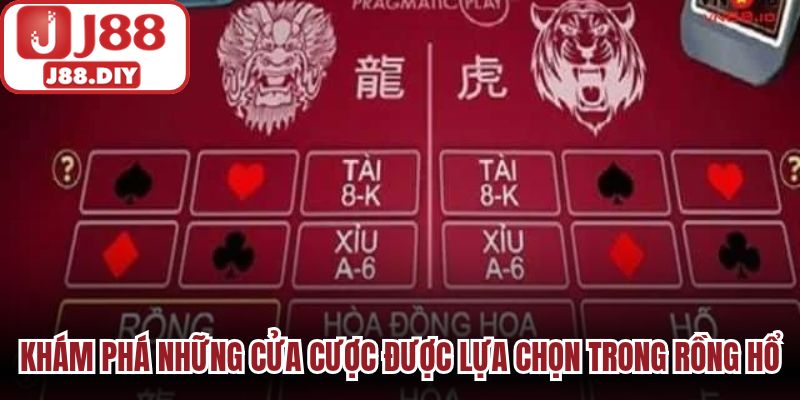 Khám phá những cửa cược được lựa chọn trong rồng hổ